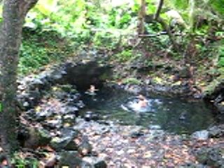 Pool in the jungle (Pohoiki)
